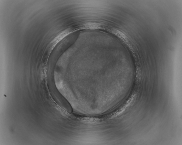 X0000112201081200909181528