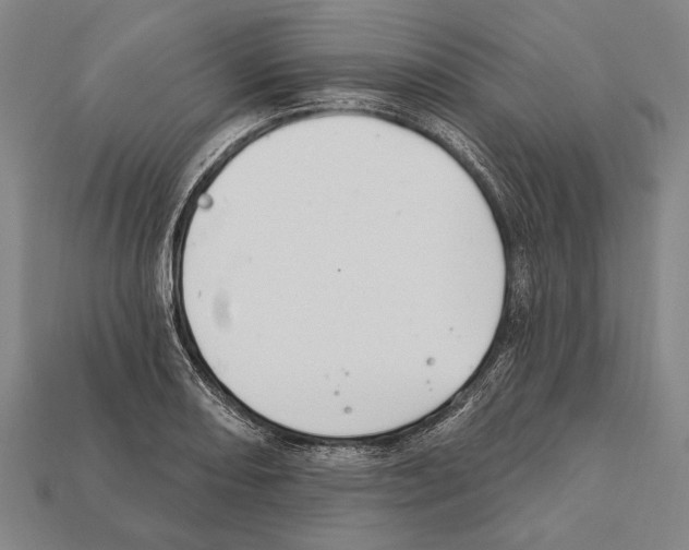 X0000112201082200909181528