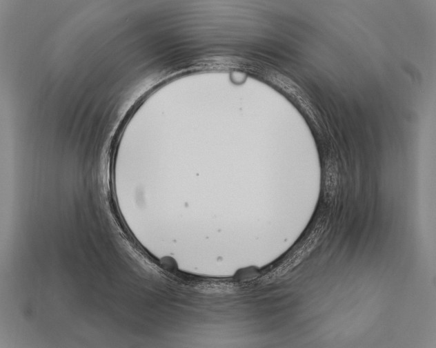 X0000112201083200909181528