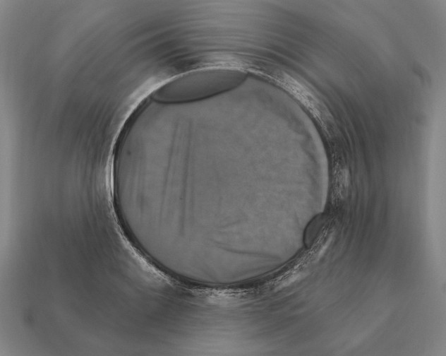X0000112201084200909181528