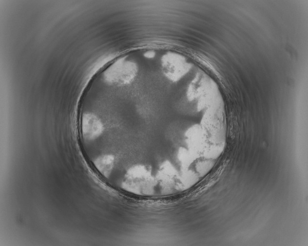 X0000112201087200909181528