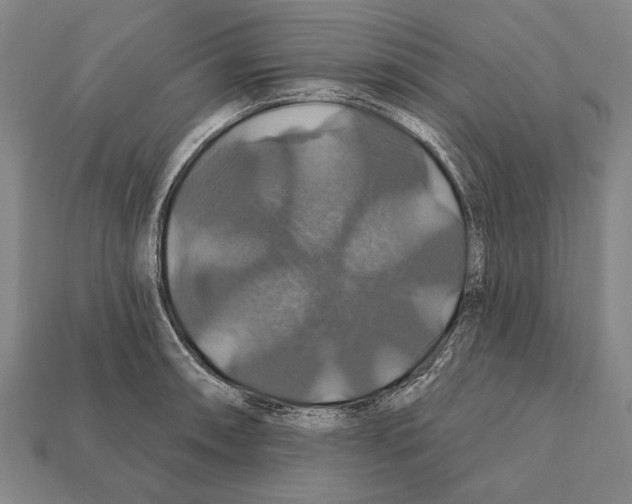 X0000112201090200909181528