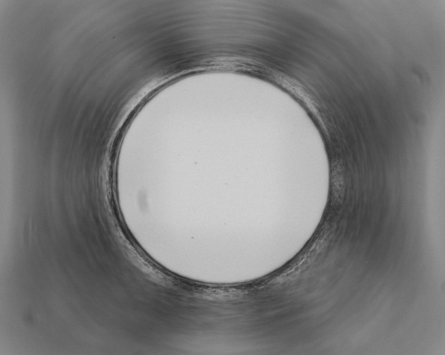 X0000112201091200909181528