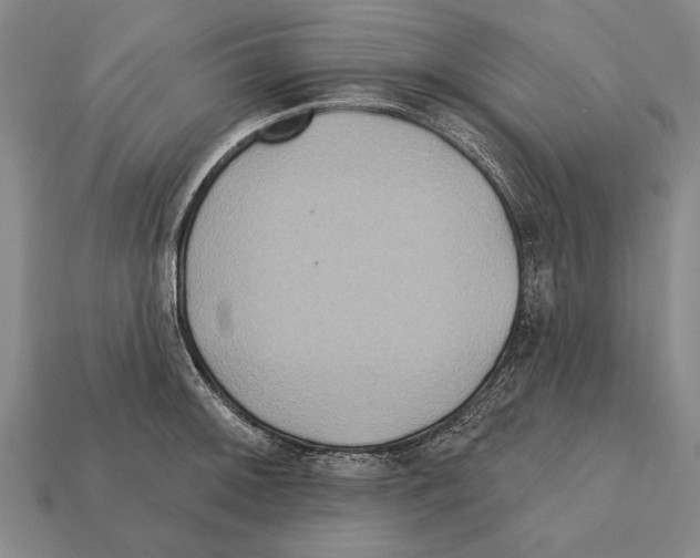X0000112201092200909181528