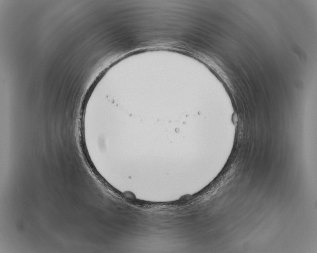 X0000112201093200909181528
