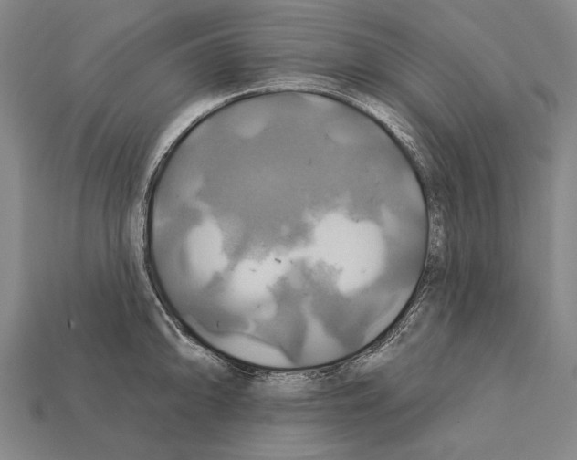 X0000112201094200909181528