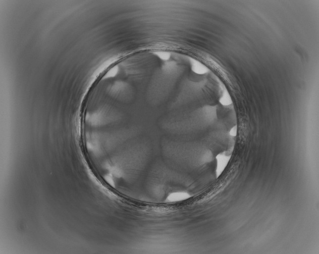 X0000112201095200909181528