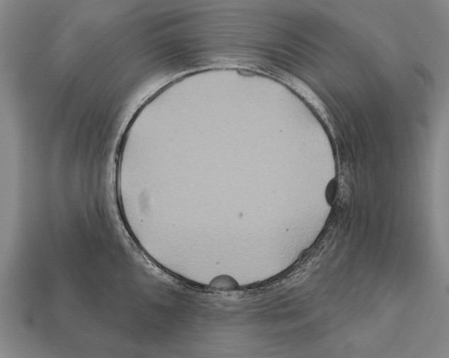 X0000112201096200909181528