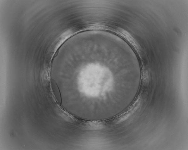 X0000112201097200909181528