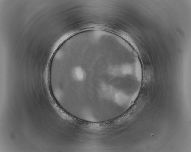 X0000112201098200909181528