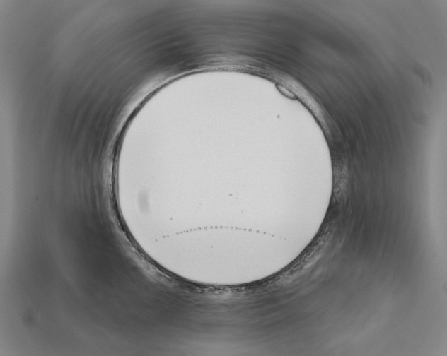 X0000112201099200909181528