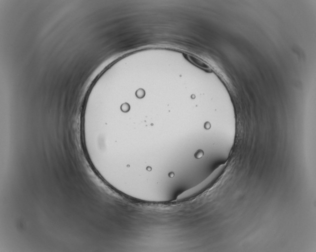 X0000112201100200909181528