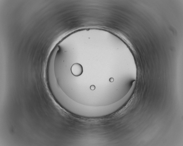 X0000112201101200909181528