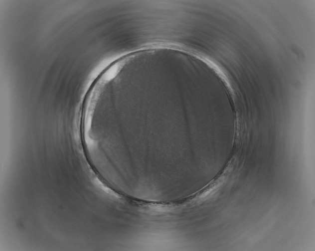 X0000112201102200909181528
