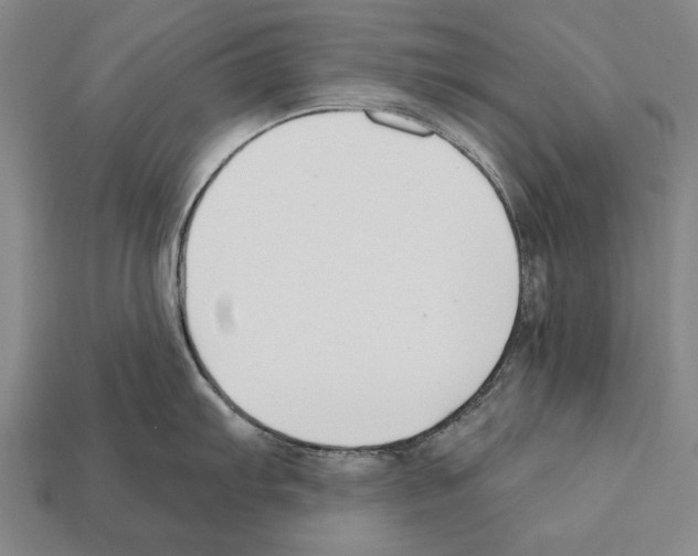 X0000112201103200909181528