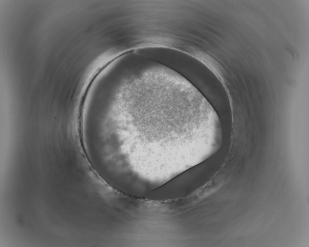 X0000112201104200909181528