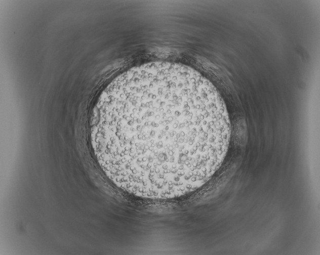 X0000112201105200909181527