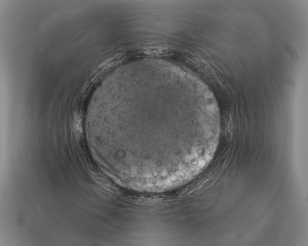 X0000112201106200909181527