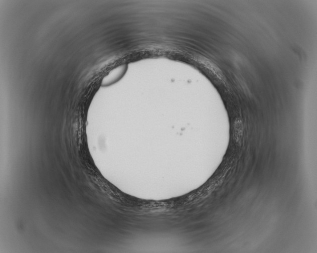 X0000112201111200909181527