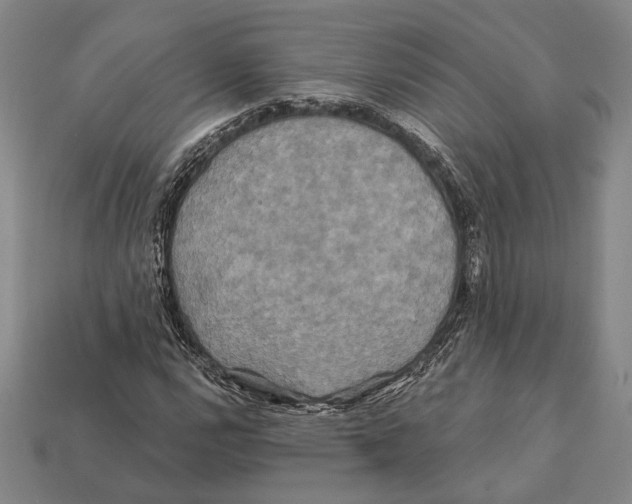 X0000112201112200909181527