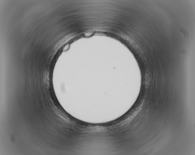 X0000112201113200909181527