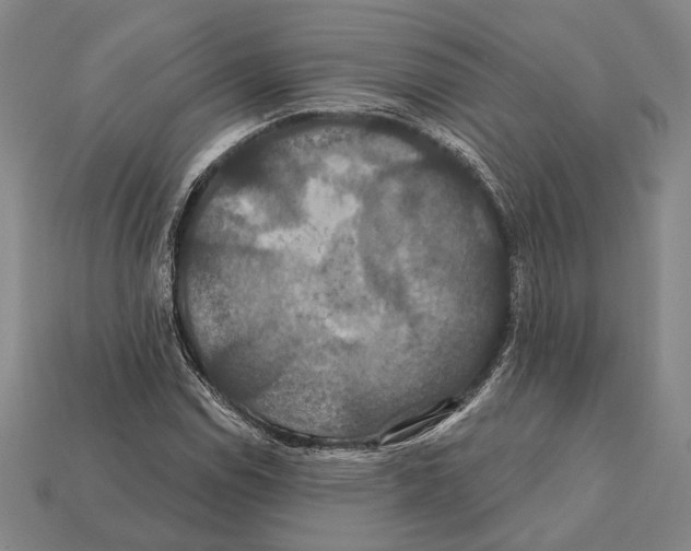 X0000112201114200909181527