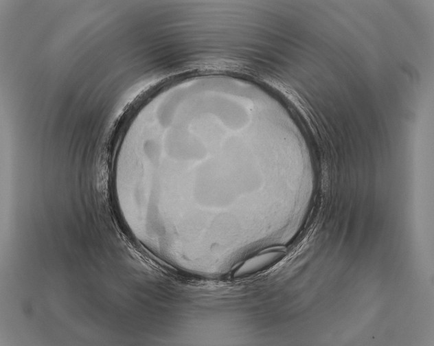 X0000112201115200909181527