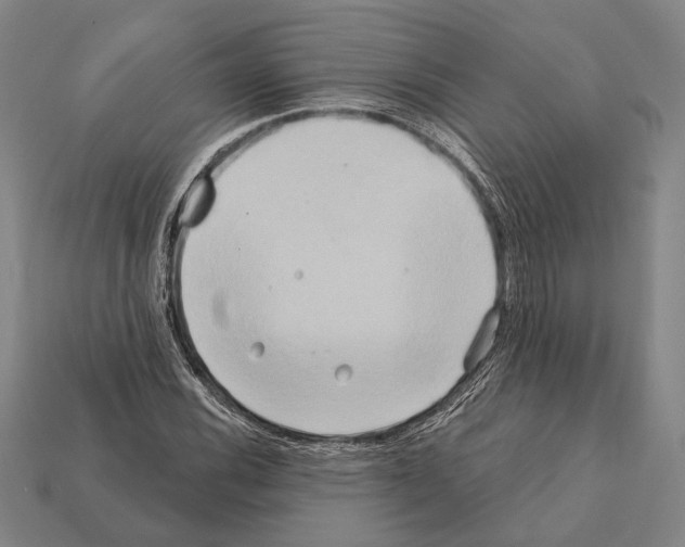 X0000112201116200909181527