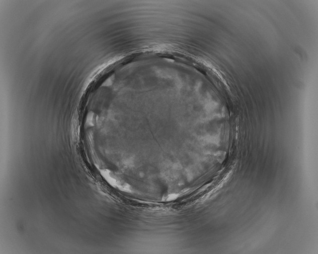 X0000112201117200909181527