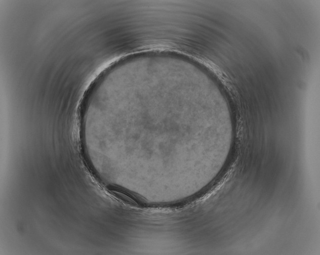 X0000112201118200909181527