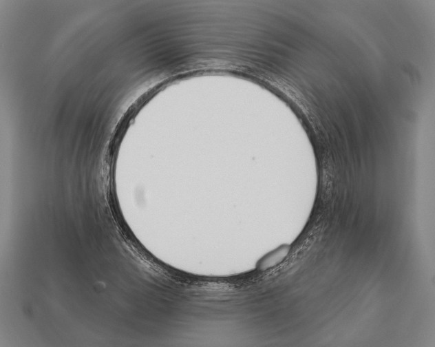X0000112201119200909181527