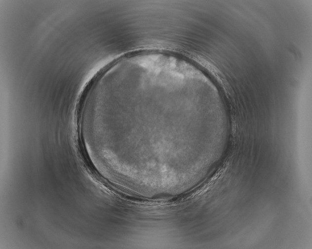X0000112201120200909181527