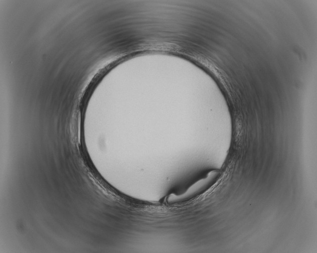 X0000112201123200909181527