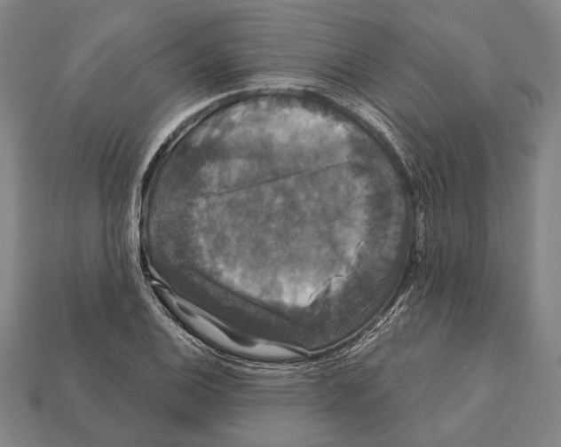 X0000112201124200909181528