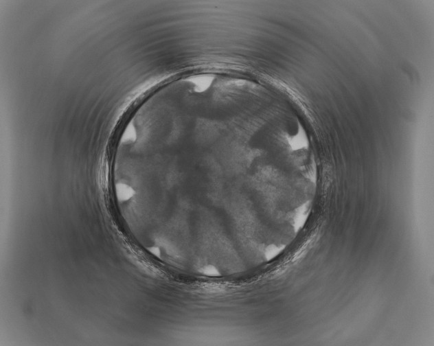X0000112201125200909181528