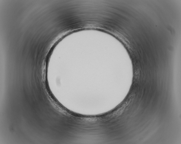 X0000112201126200909181528
