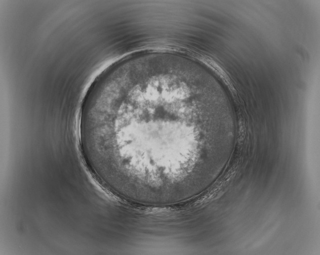 X0000112201128200909181528