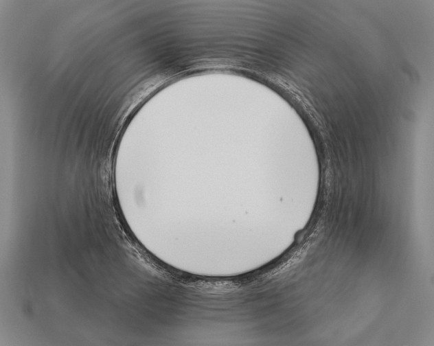 X0000112201129200909181528