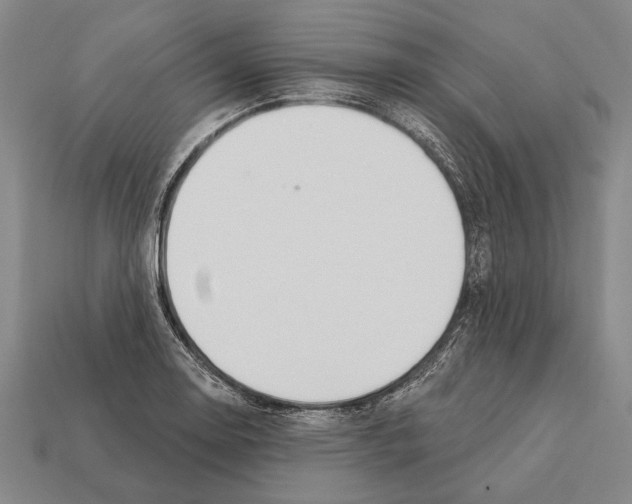 X0000112201130200909181528