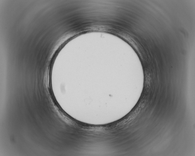 X0000112201131200909181528