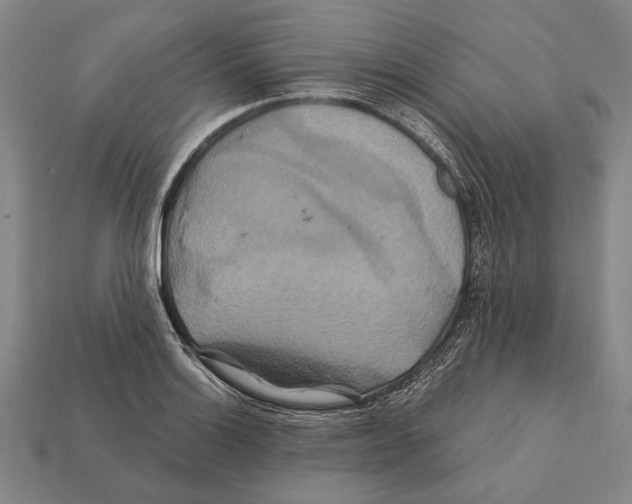 X0000112201132200909181528
