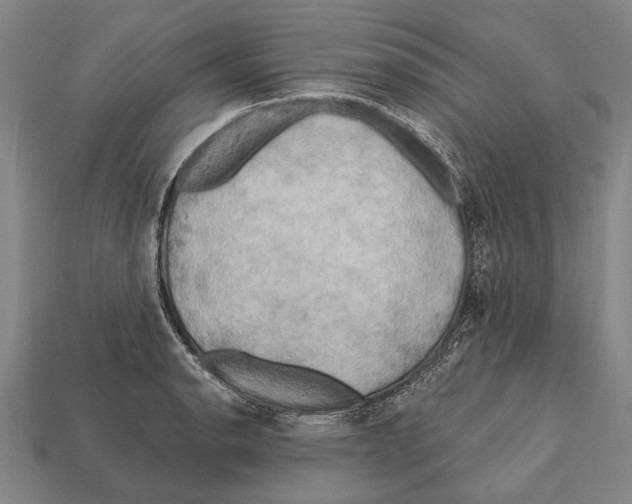 X0000112201134200909181528