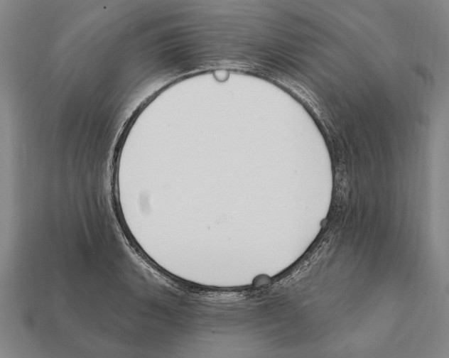 X0000112201135200909181528
