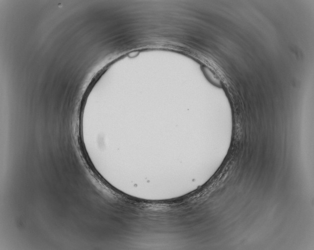 X0000112201136200909181528