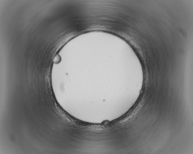 X0000112201137200909181528