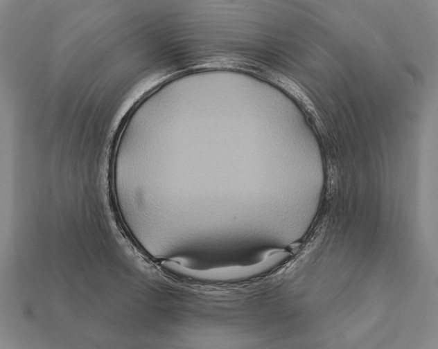 X0000112201138200909181528