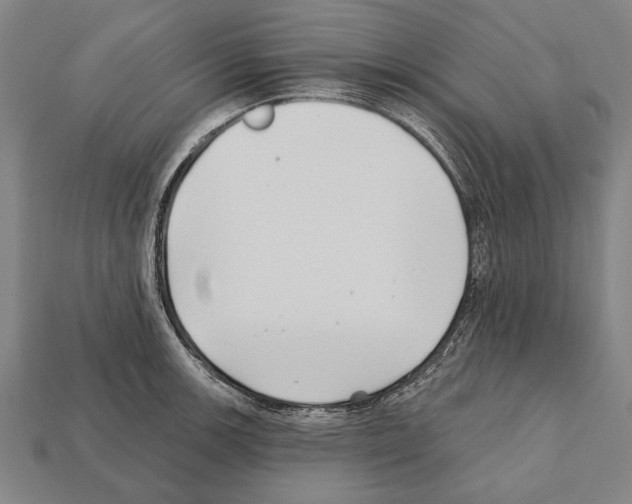 X0000112201139200909181528