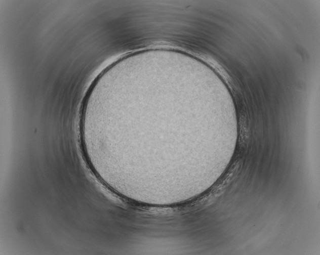 X0000112201142200909181528