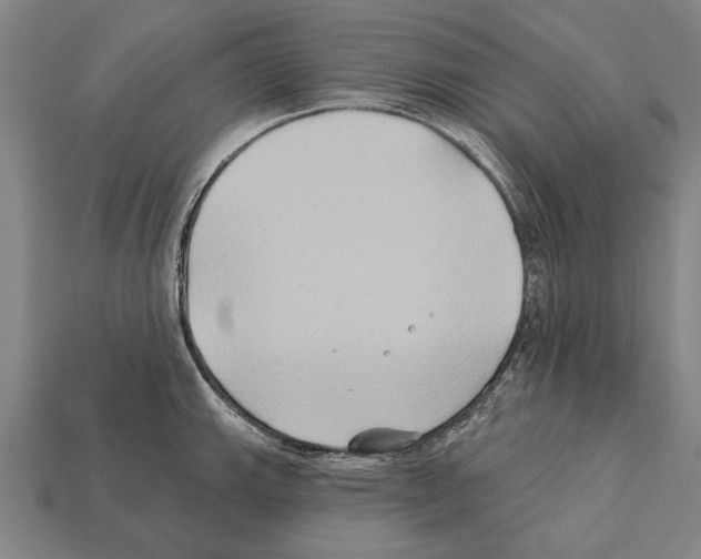 X0000112201143200909181528