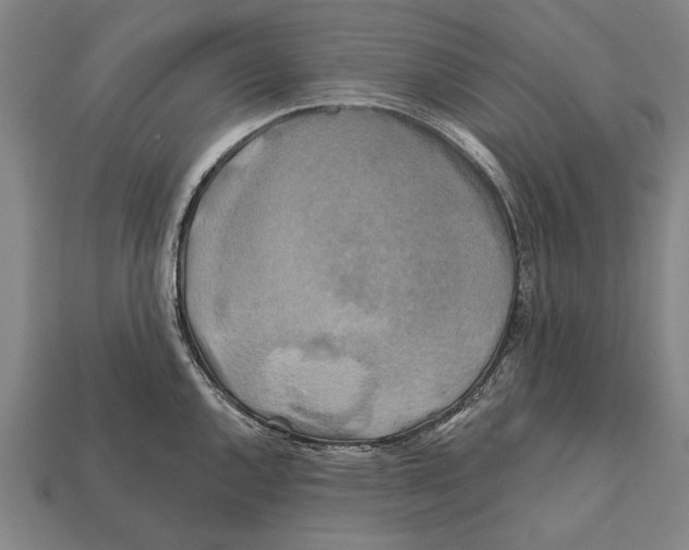 X0000112201144200909181528